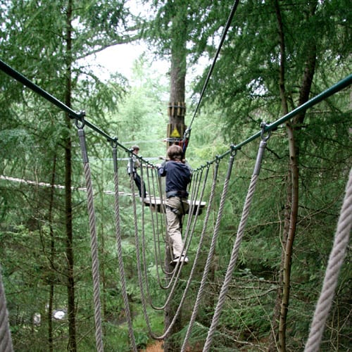 Tree Top Adventure at Go Ape Whinlatter Forest