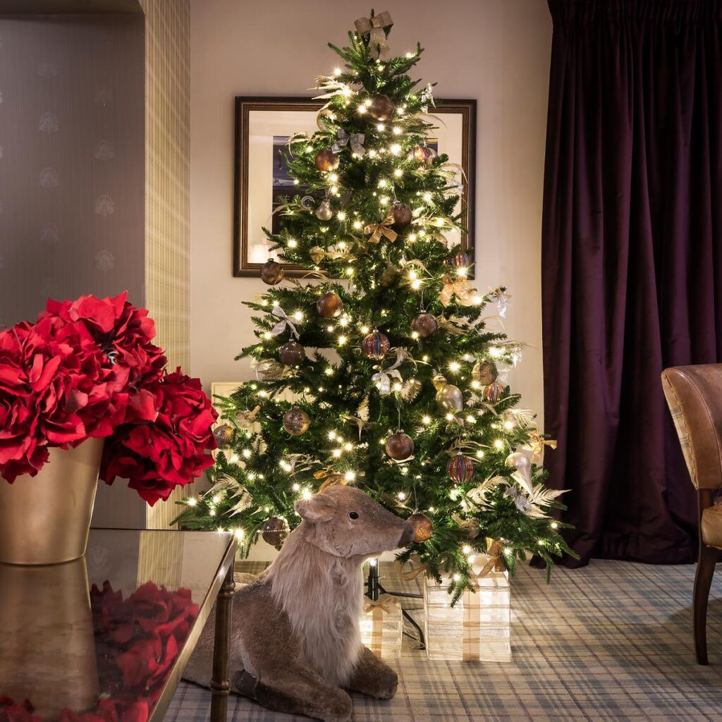 Christmas breaks at Derwentwater House, Portinscale, Keswick